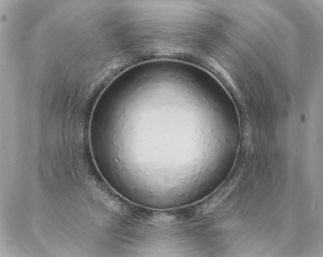 X0000087380257200705041952