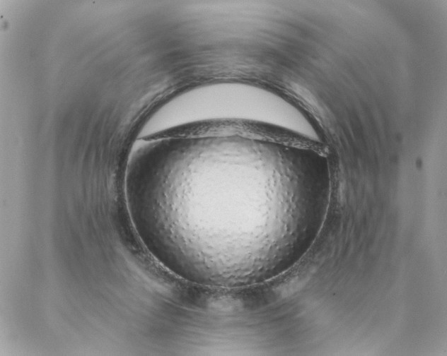 X0000087380258200705041952