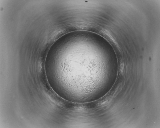 X0000087380259200705041952