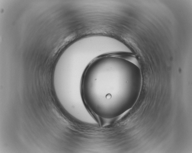 X0000087380260200705041952