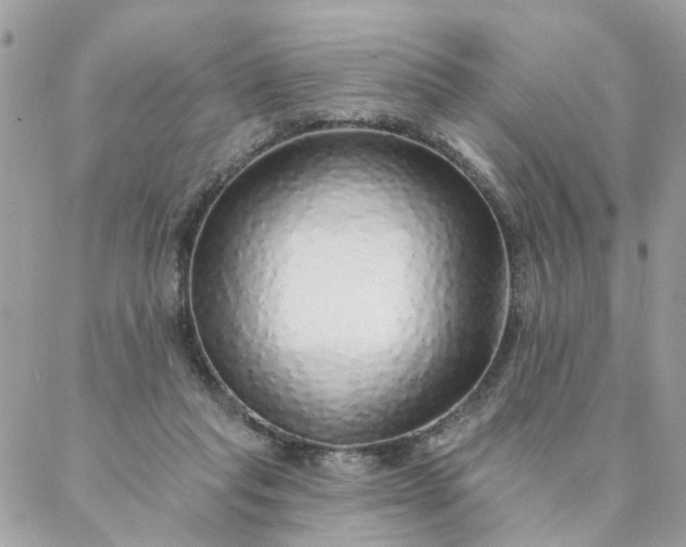 X0000087380261200705041952