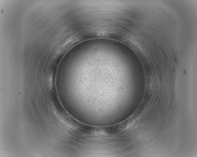 X0000087380262200705041953