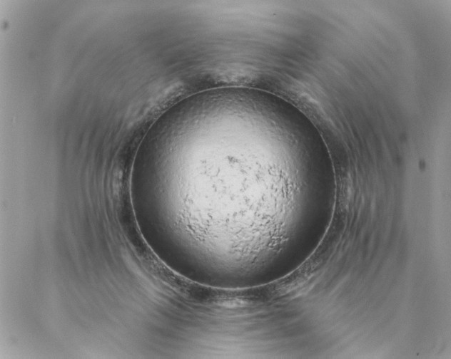 X0000087380263200705041953