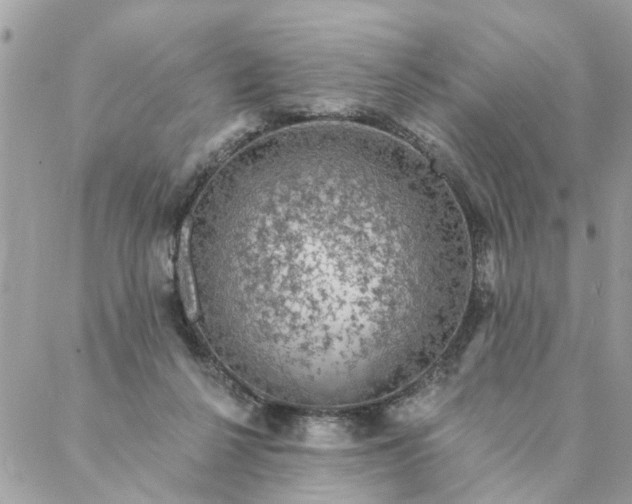 X0000087380264200705041953