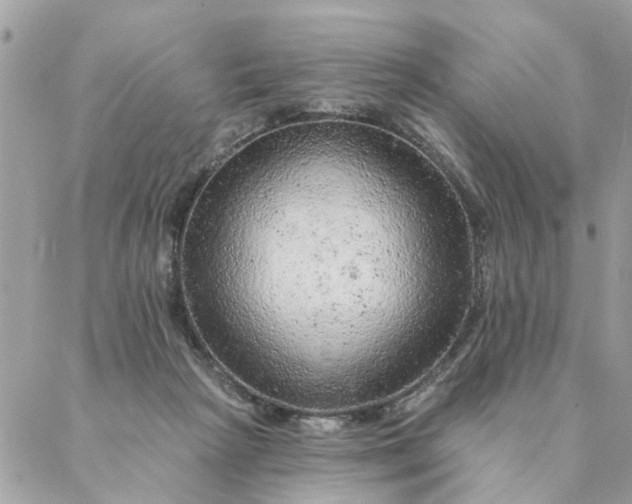 X0000087380265200705041953