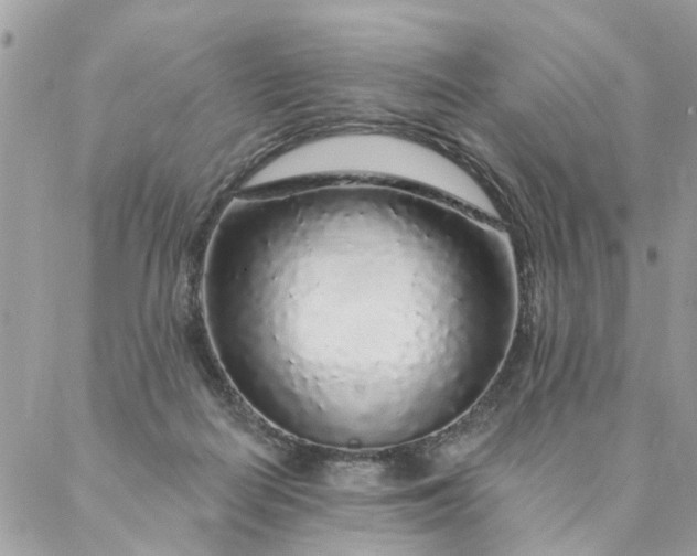 X0000087380266200705041953