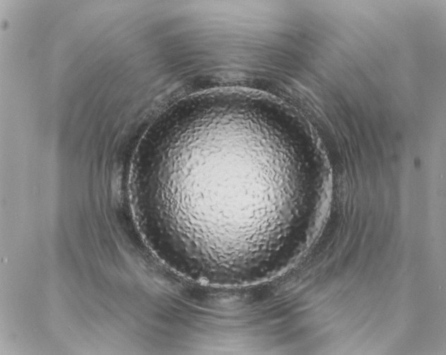 X0000087380267200705041953