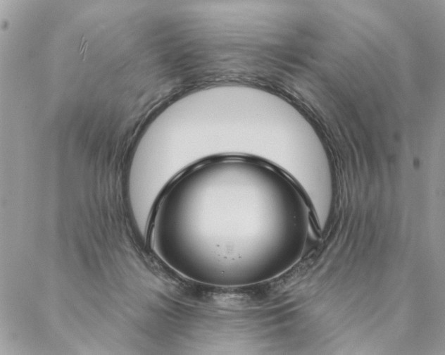 X0000087380268200705041953