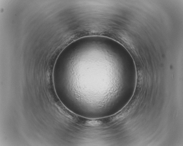 X0000087380269200705041953