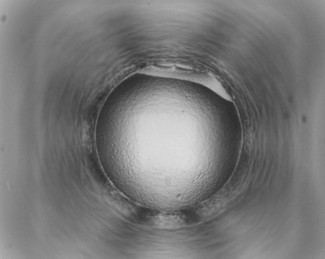 X0000087380270200705041953