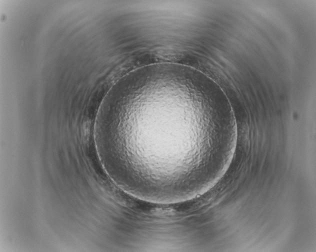 X0000087380271200705041953