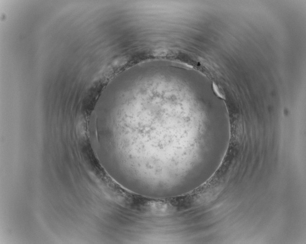 X0000087380272200705041953