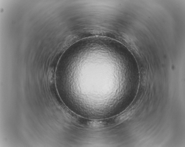 X0000087380273200705041953