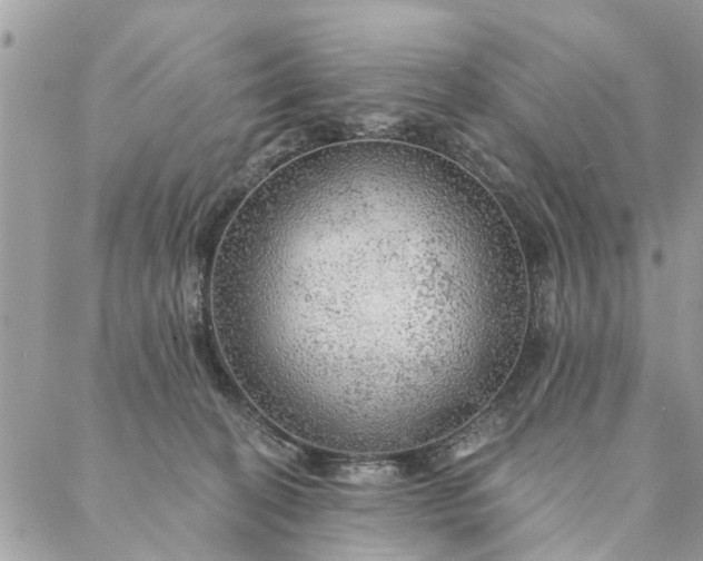 X0000087380274200705041953