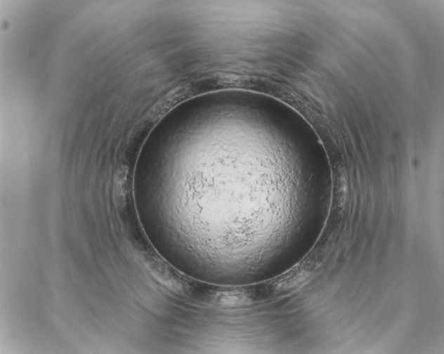 X0000087380275200705041953