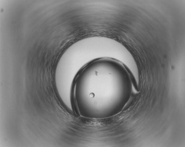 X0000087380276200705041953