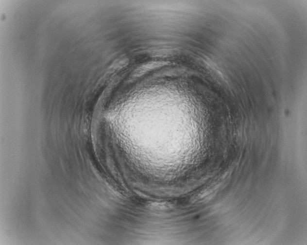 X0000087380277200705041953