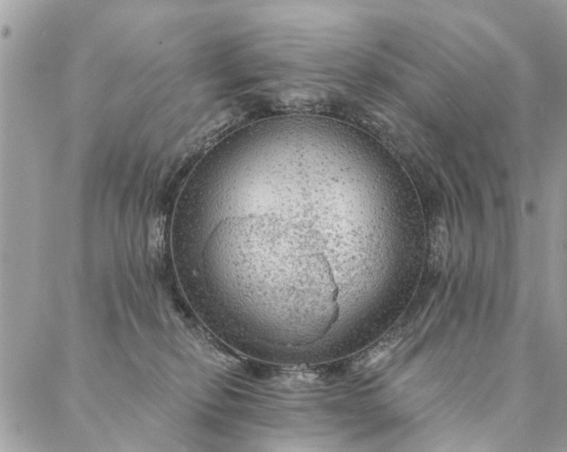 X0000087380278200705041953