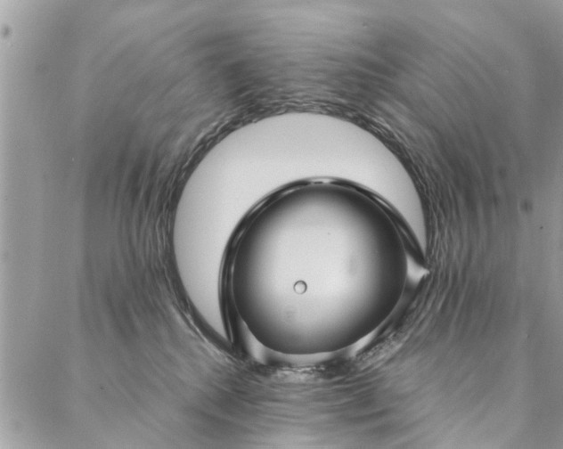 X0000087380280200705041953