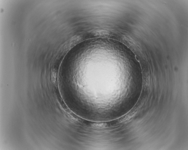 X0000087380281200705041953