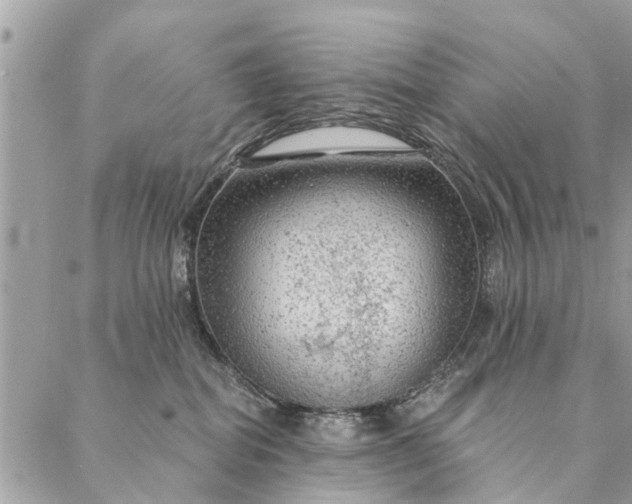 X0000087380282200705041953