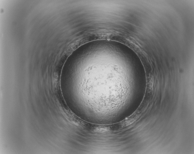 X0000087380283200705041953