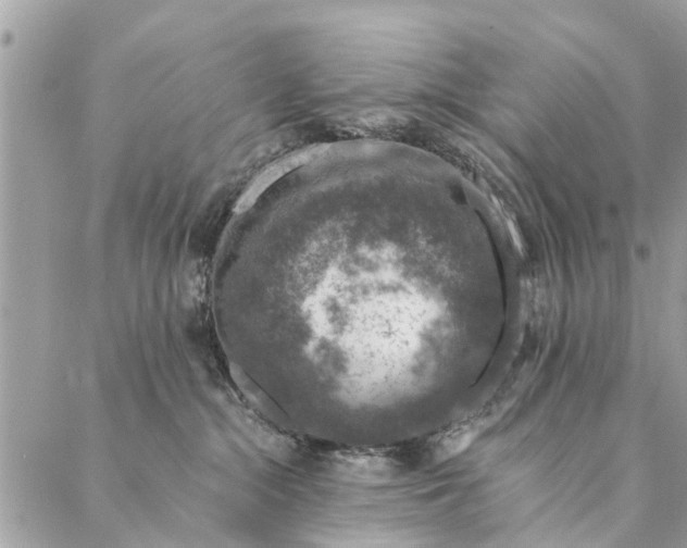 X0000087380284200705041953