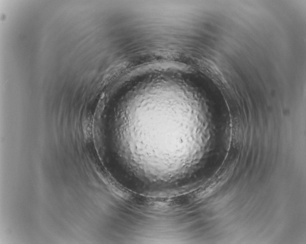 X0000087380285200705041953