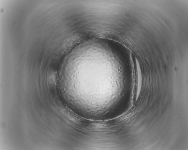 X0000087380286200705041953