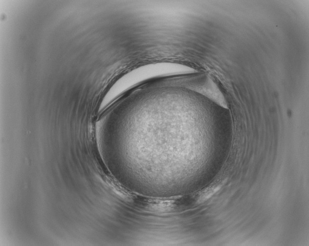 X0000087380288200705041953