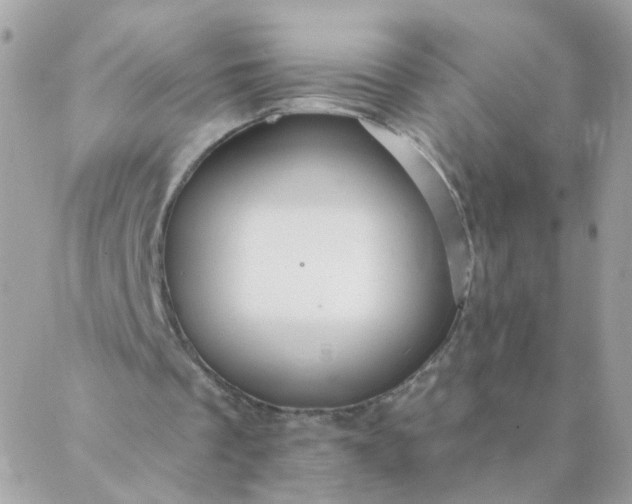 X0000087380289200705041952