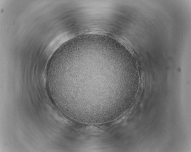 X0000087380290200705041952