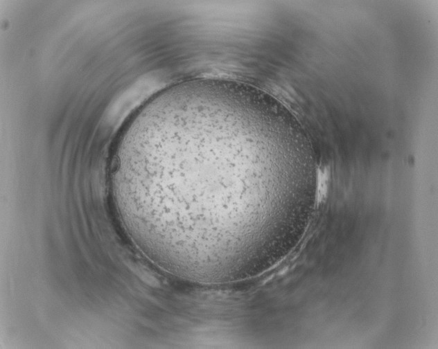 X0000087380291200705041952