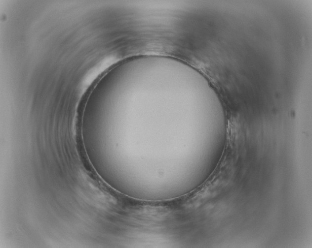 X0000087380292200705041952