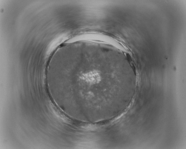 X0000087380293200705041952