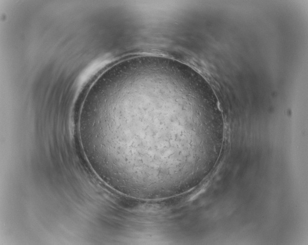 X0000087380294200705041952