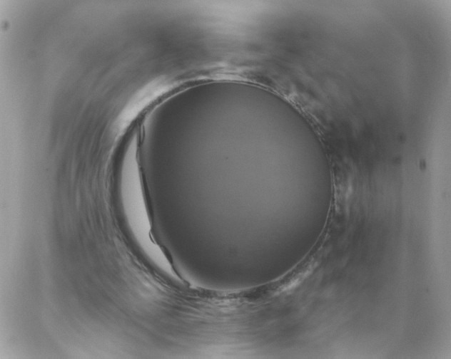 X0000087380295200705041952