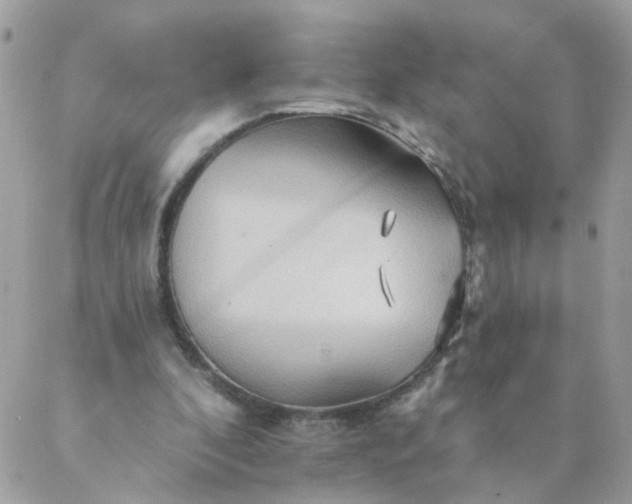 X0000087380296200705041952