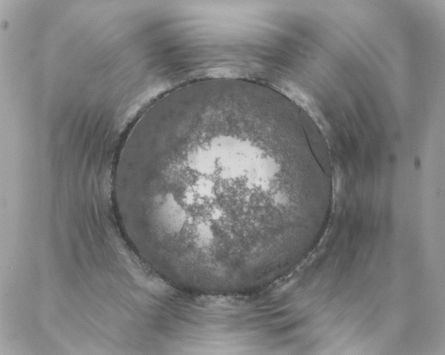 X0000087380297200705041952