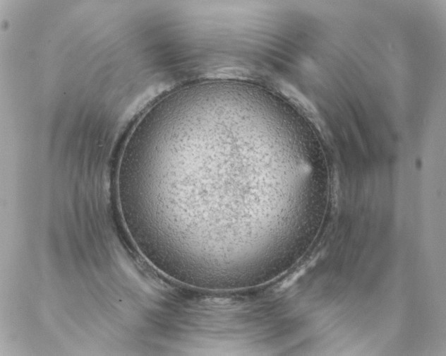 X0000087380298200705041952