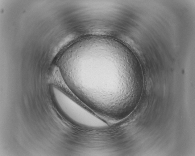 X0000087380299200705041952