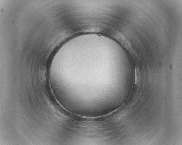 X0000087380300200705041952