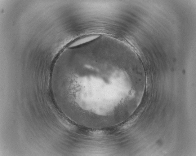 X0000087380301200705041952