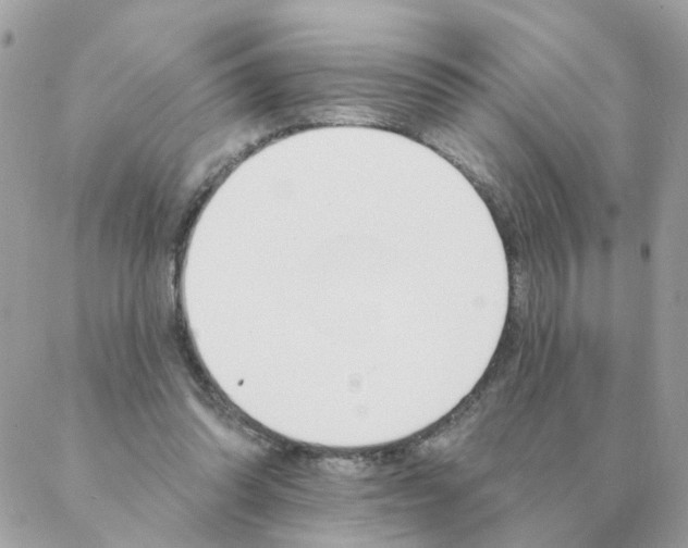 X0000087380302200705041952