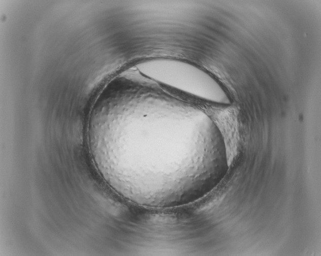 X0000087380303200705041952