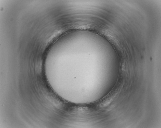 X0000087380304200705041952