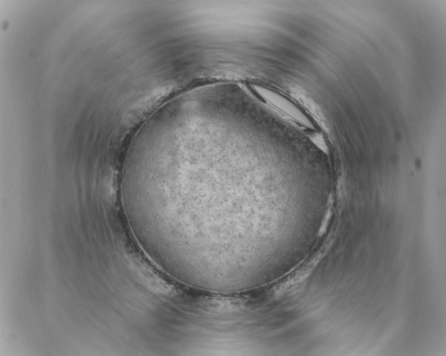 X0000087380305200705041952