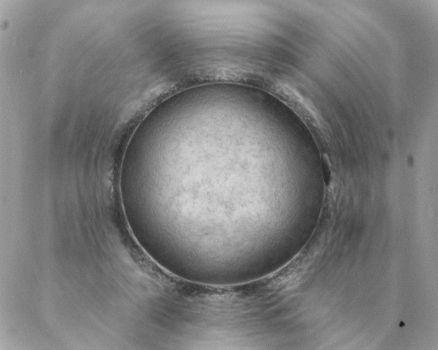 X0000087380306200705041952