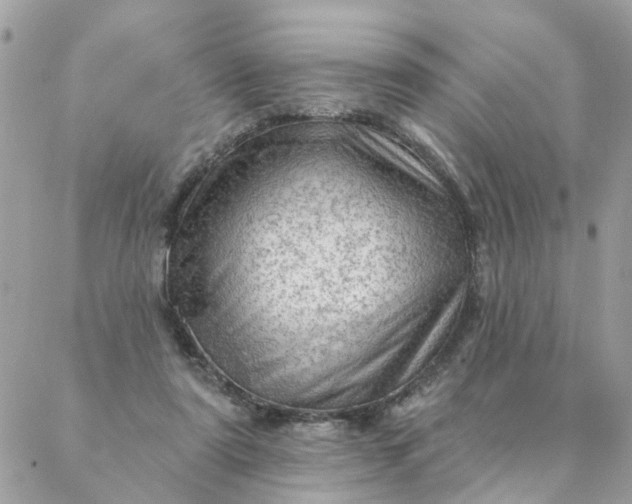 X0000087380307200705041952