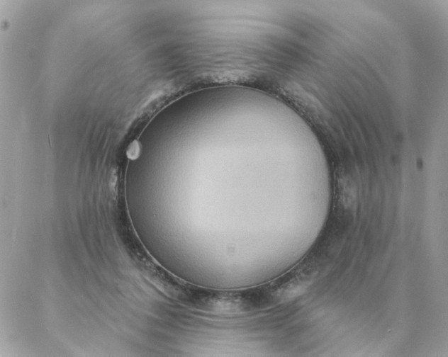 X0000087380308200705041952